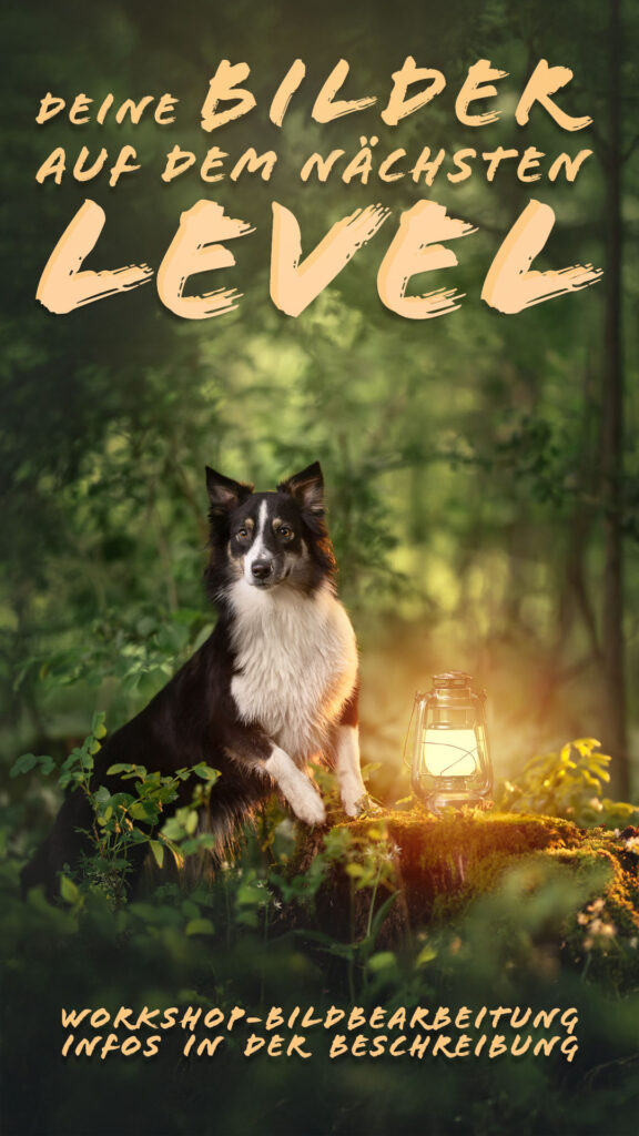 Ein Tierfotograf erklärt Tiershooting-Techniken: Workshop für natürliche, kreative Fotos!.