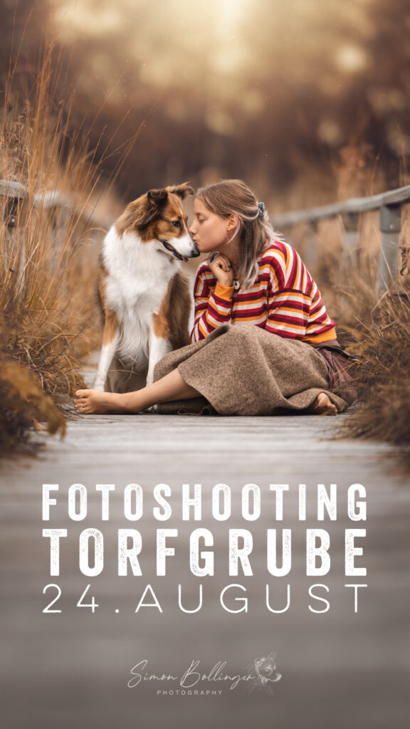 Mädchen beim Tiershooting mit Collie. Hundefotograf fängt emotionale Momente ein.