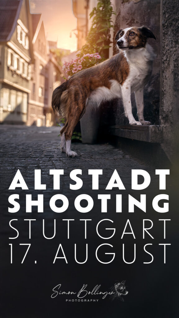 Hundefotograf Stuttgart lädt zum Tiershooting am 17. August, eine malerische Altstadt-Location ein.