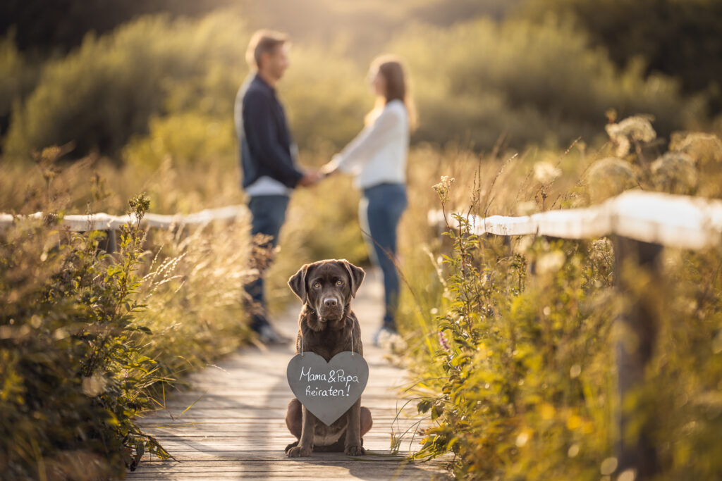 Tierfotograf: Hund beim Tiershooting mit Herzschild, Paar im sonnigen Hintergrund.