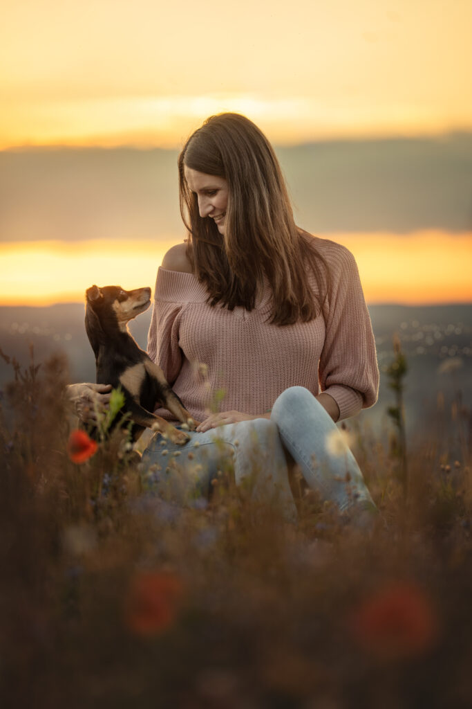 Tierfotograf-Tiershooting: Frau mit Hund sitzt im Feld bei Sonnenuntergang, warmes Licht.