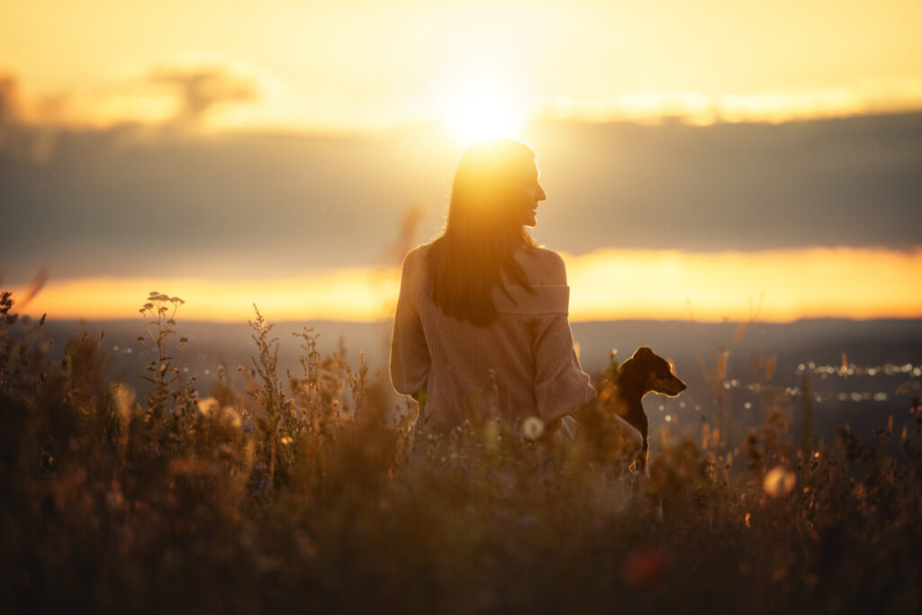 Tierfotograf Tiershooting: Frau mit Hund im Feld, Sonnenuntergang, goldene Silhouetten.