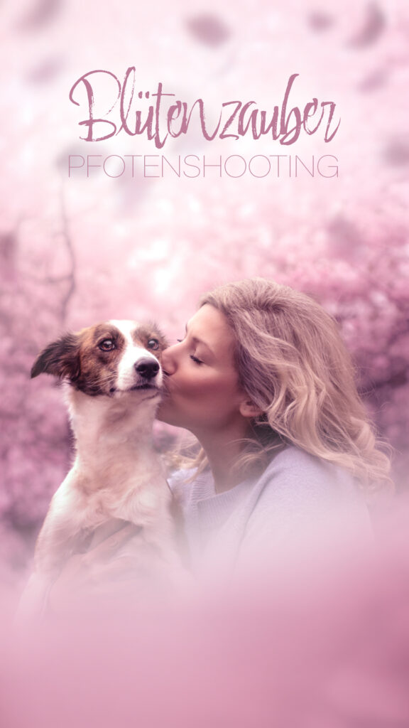 Blonde Frau küsst Hund, rosa Blüten, Tiershooting, Hundefotograf, Blütenzauber Pfotenshooting Text.