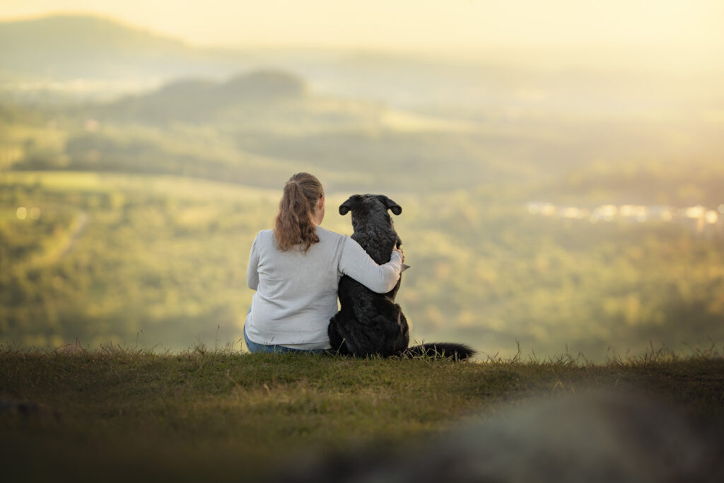 Tierfotograf, Tiershooting: Person mit Hund vor einer sonnigen, malerischen Landschaft auf einer Wiese.