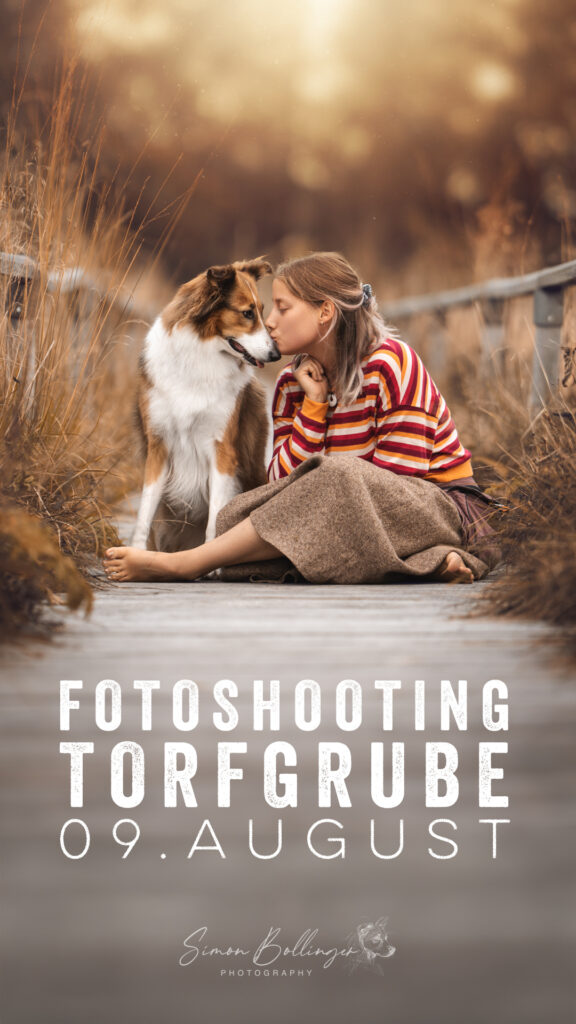 Mädchen mit Hund, Stirn an Stirn, Tierfotoshooting, warmes Licht, Hundefotograf-Sommer.