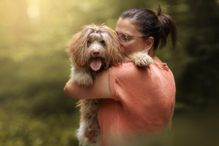 Hundefotograf kreiert ein wunderschönes Tiershooting mit fröhlichem, flauschigem Hund.