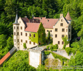 Tiershooting im Schlosspark, Hundefotograf fängt charmante Luftaufnahmen ein.