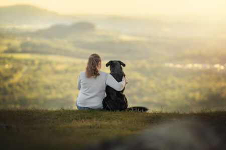 Tierfotograf, Tiershooting: Person mit Hund vor einer sonnigen, malerischen Landschaft auf einer Wiese.